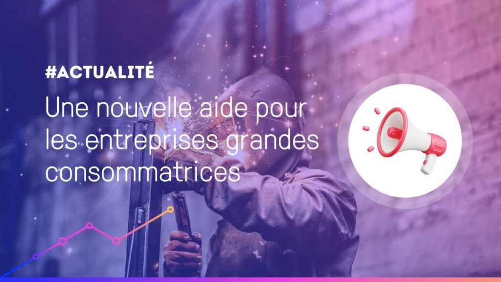 aide entreprise consommatrice électricité