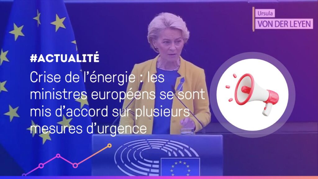 Crise de l'énergie