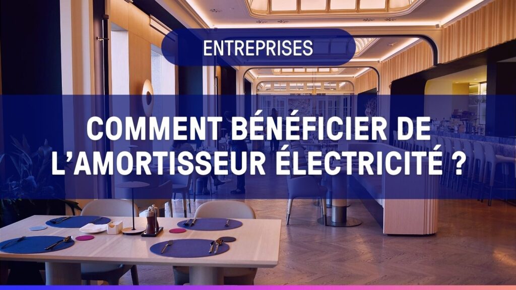 Amortisseur électricité