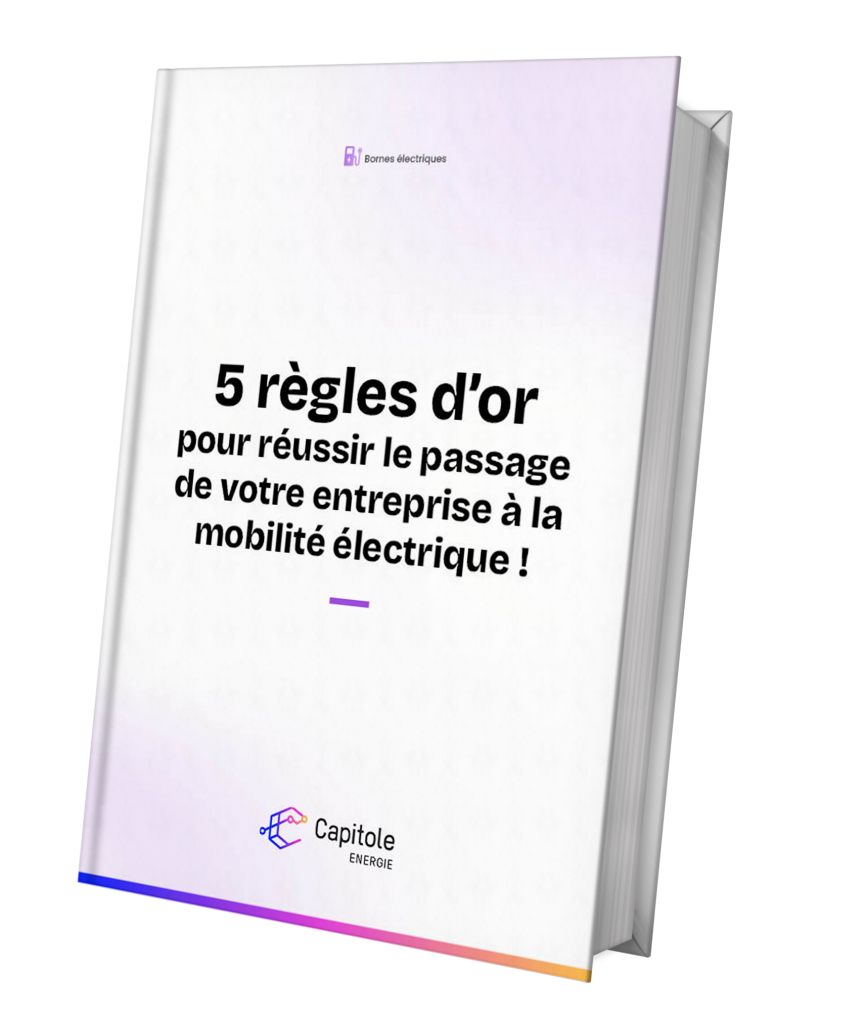 Livre blanc bornes électriques