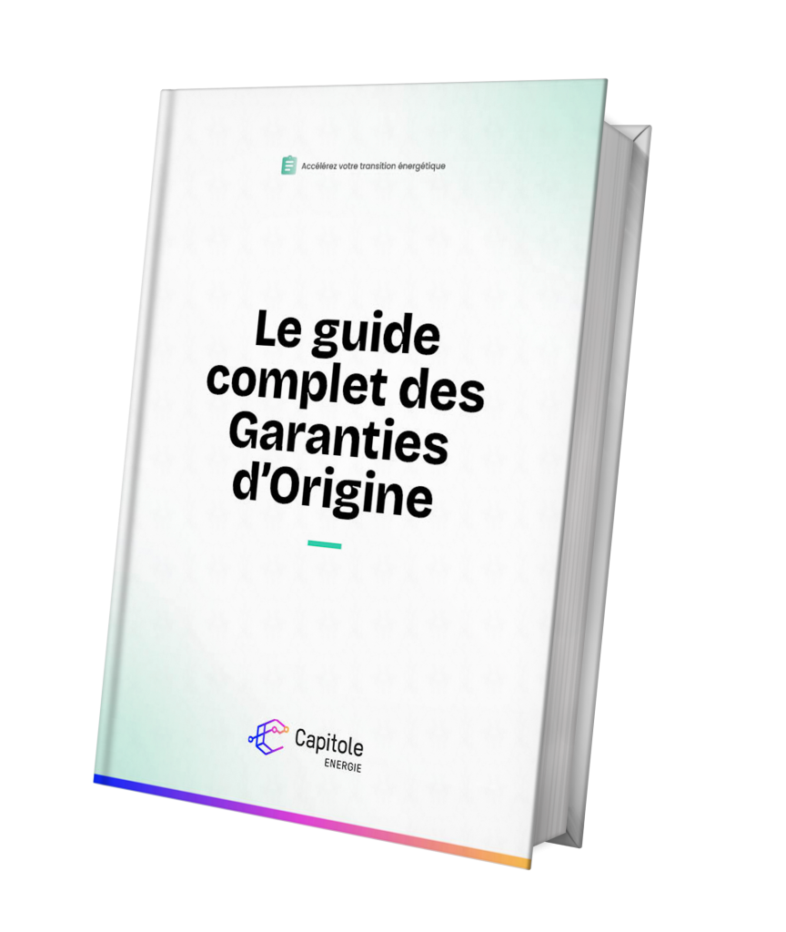 LB_garantie-dorigine-mockup
